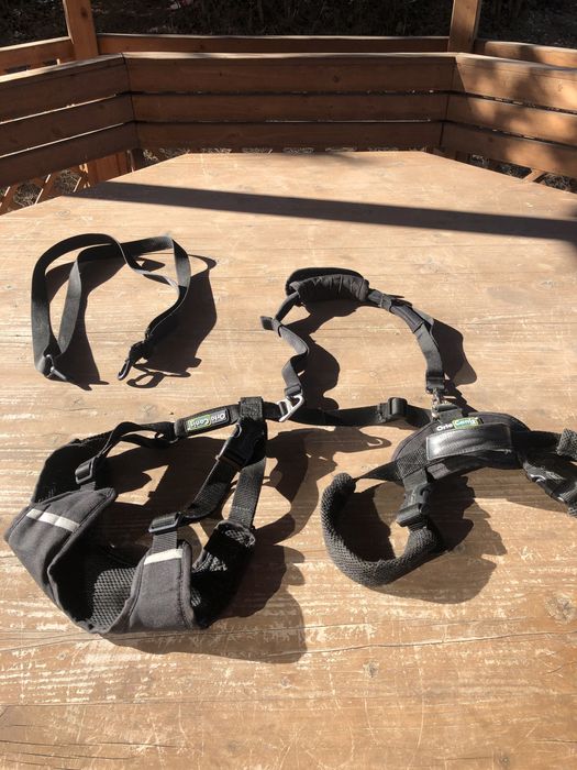 Ham pt. catei cu displazie de sold sau artrita