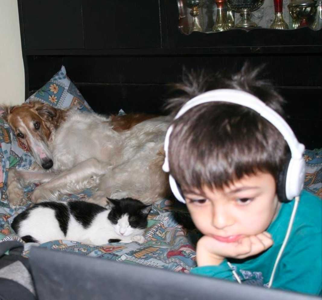 Cazare câini / Pensiune canină / Pet Sitter căței și alte peturi