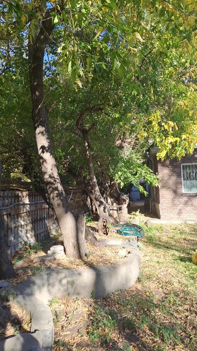 Спиливание и обрезка деревьев. Уборка. Вывоз. Выезд в деревни