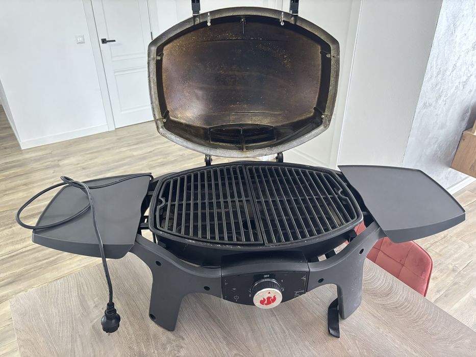 Vand gratar electric Landmann E-Pantera 2000W