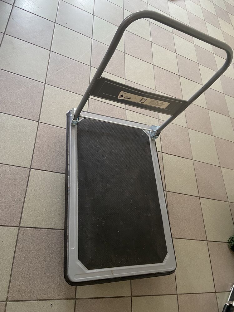 Carucior cu platforma profesional - 300kg