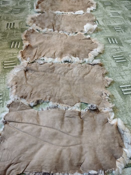 Piei / blană de oaie (5 buc)