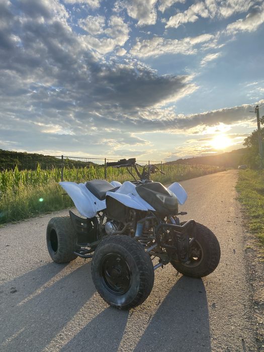 Vand bashan 250cc