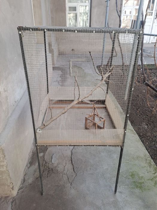 Valer qush uchun qafas