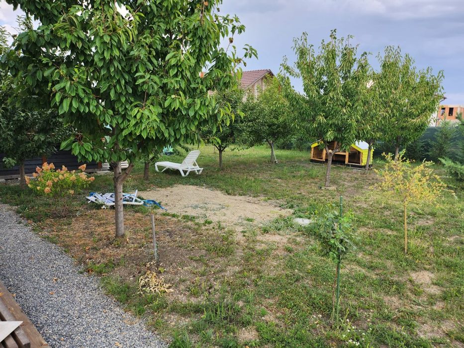 Teren intravilan Bujac