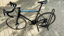 Cursiera Bergamont Prime Carbon L/56