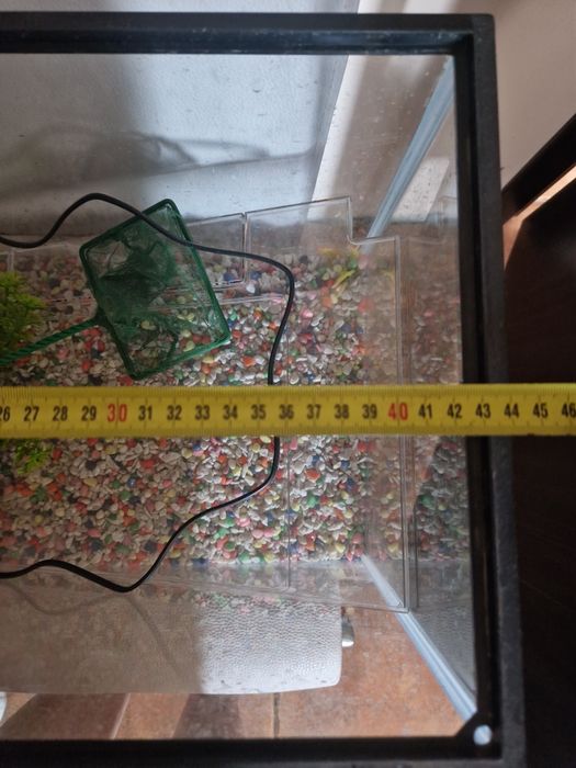 Acvariu cu accesorii