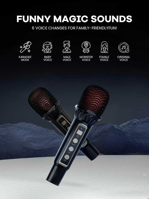 Караоки ситема висок клас BONAOK T30