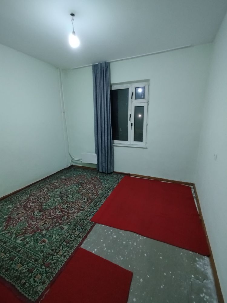 izza 2xona srochna topwrladi