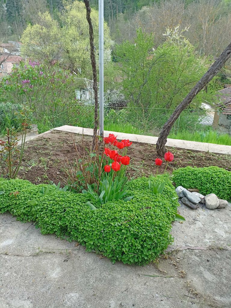 Продава се Къща в Карлово - 100 кв.м за 650 €/кв.м - Снимка #12