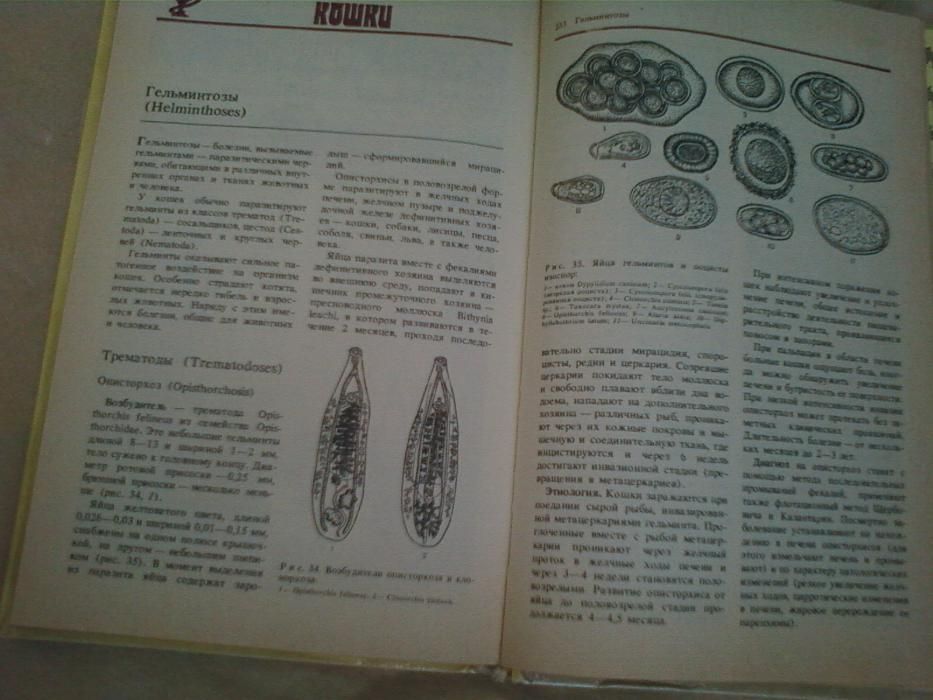 Домашние Кошки Книга . Издание Москва 1991 года .