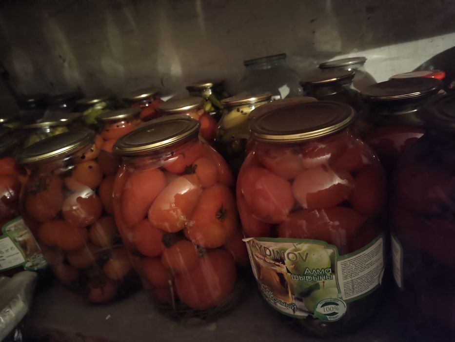 Продается засолка .