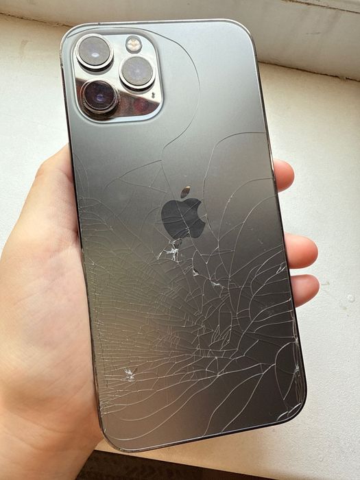iphone 12 pro max