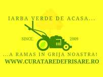 Curatare eliminare vegetatie / Defrisare terenuri / Tocare crengi