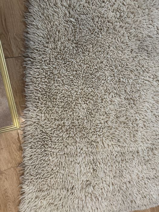 Родопски китеник