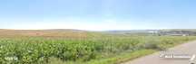 Teren extravilan in Rediu - Aiton, 4300 mp, la 150 m distanta de intra