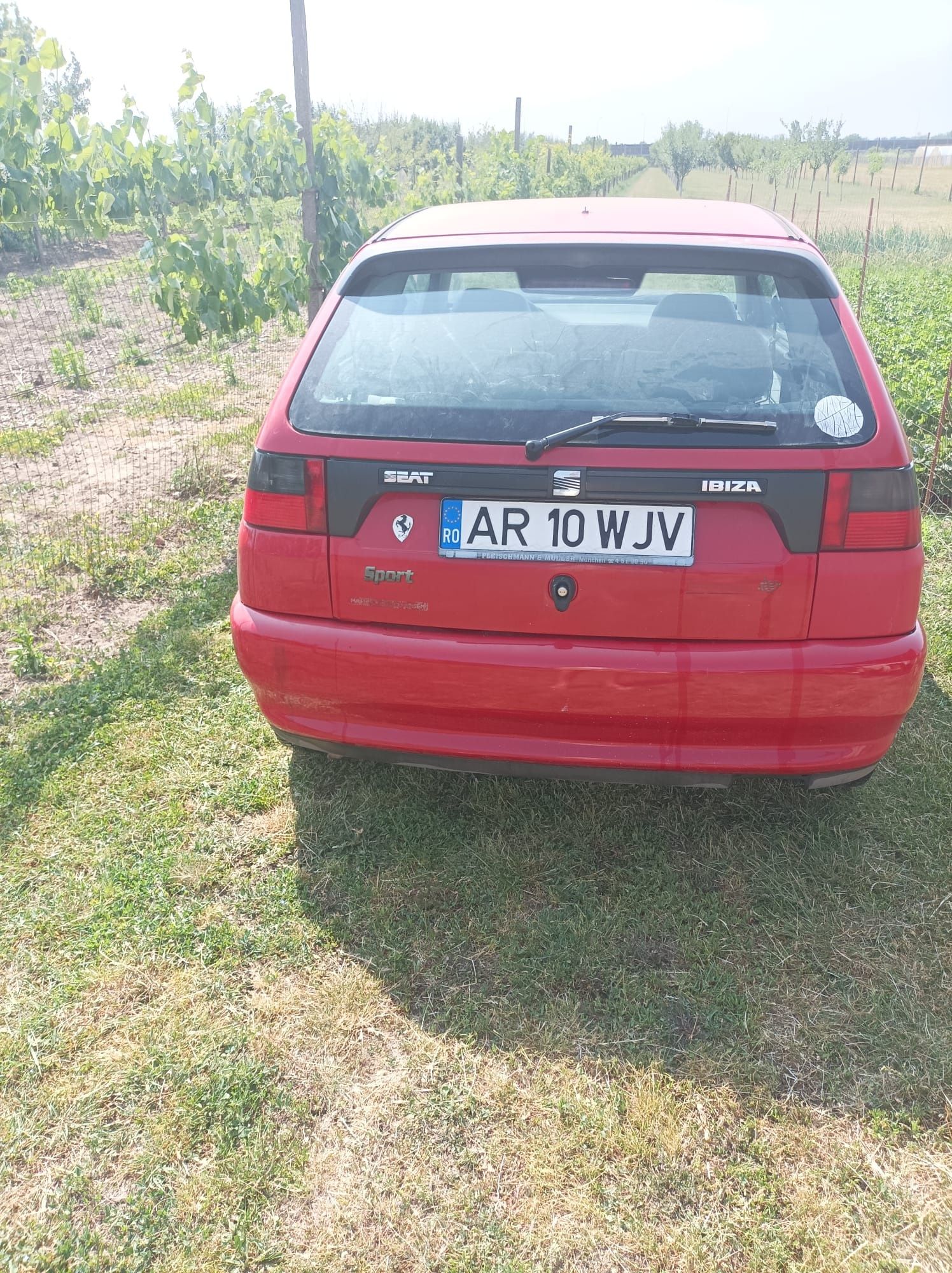 Seat Ibiza benzina