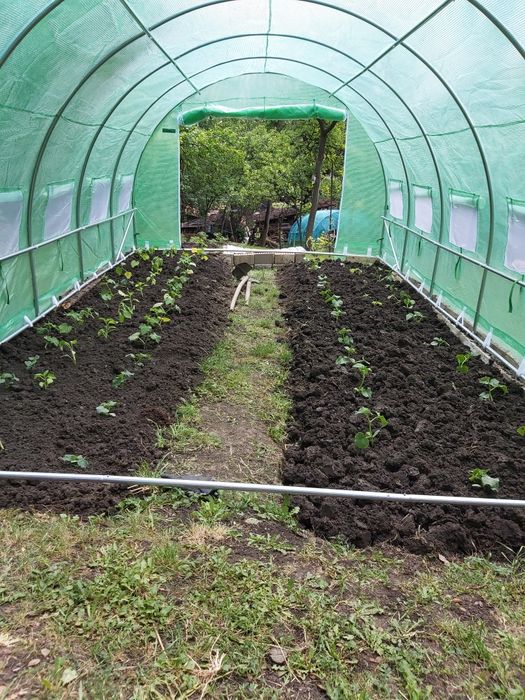 Vănd seră din imagine!