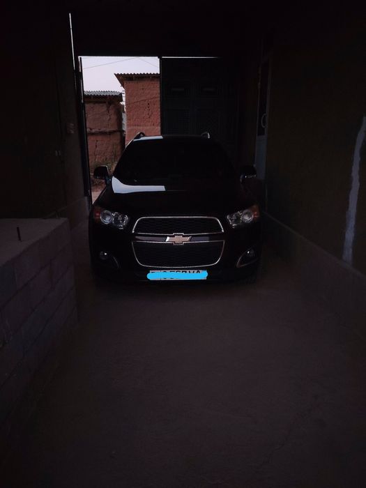 radnoy qora  bez shum bugan tom  alikantara bulgan