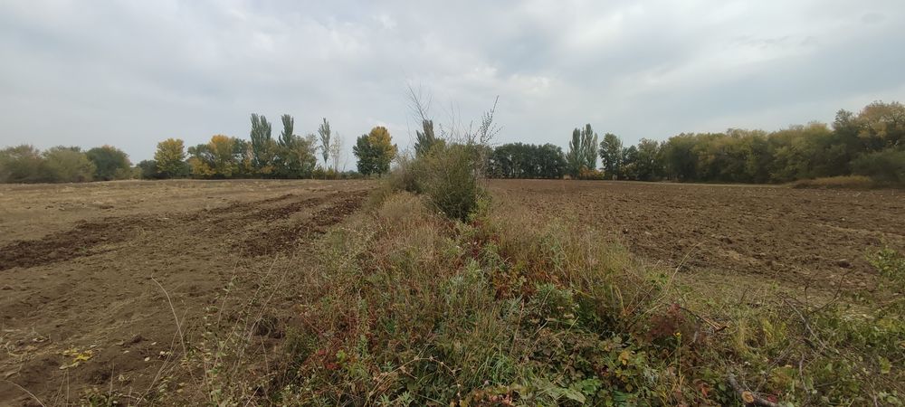 Продам землю 4 га выкупленая