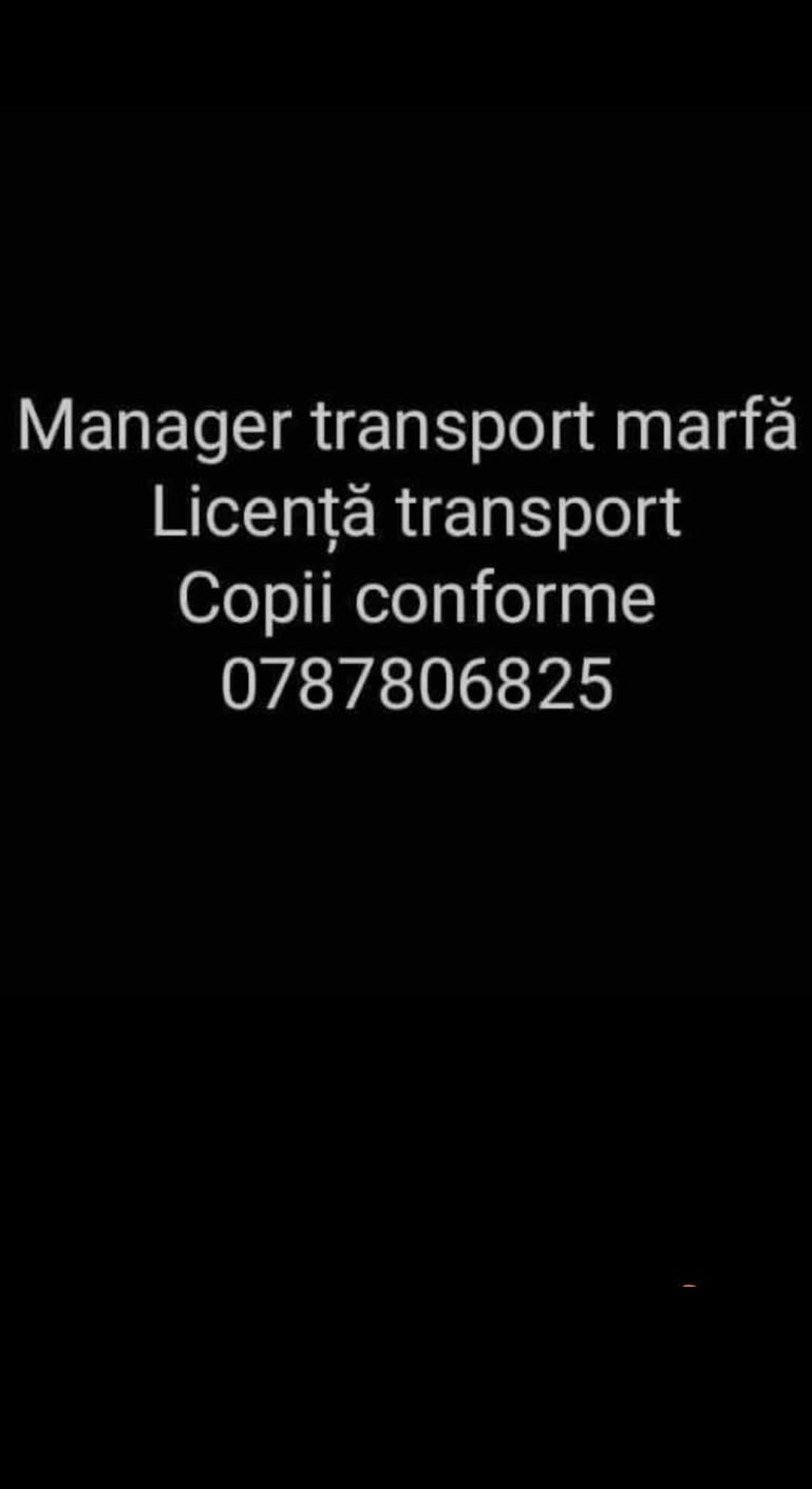 Mánager transport marfa