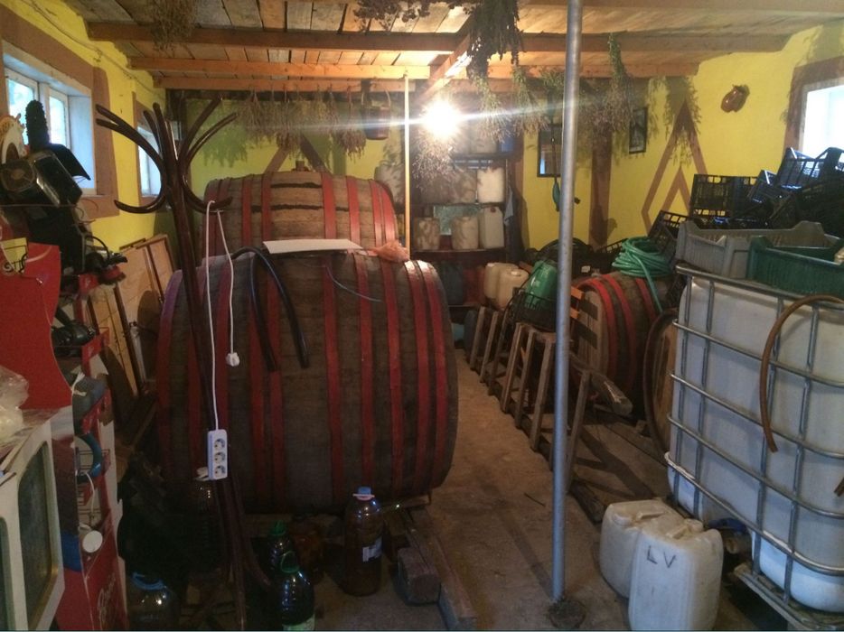 Vand casa com. Jaristea, jud. Vrancea, 2700 mp