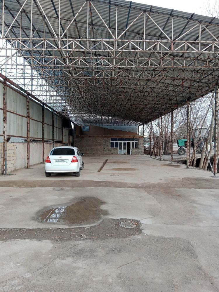 том стадион навес иссикхона tom naves issiqxona stadion
