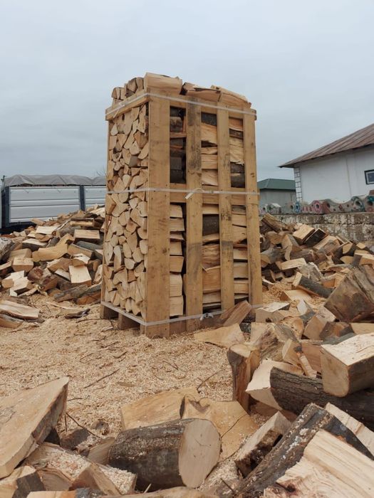 Lemne de foc taiate si sparte fag