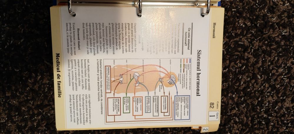Colecția Enciclopedia sănătății, medicul de familie, medicina pentru t