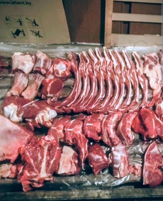 Разделка мясо согым Ет бұзу жылқы сиыр