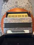 Acordeon de colecție