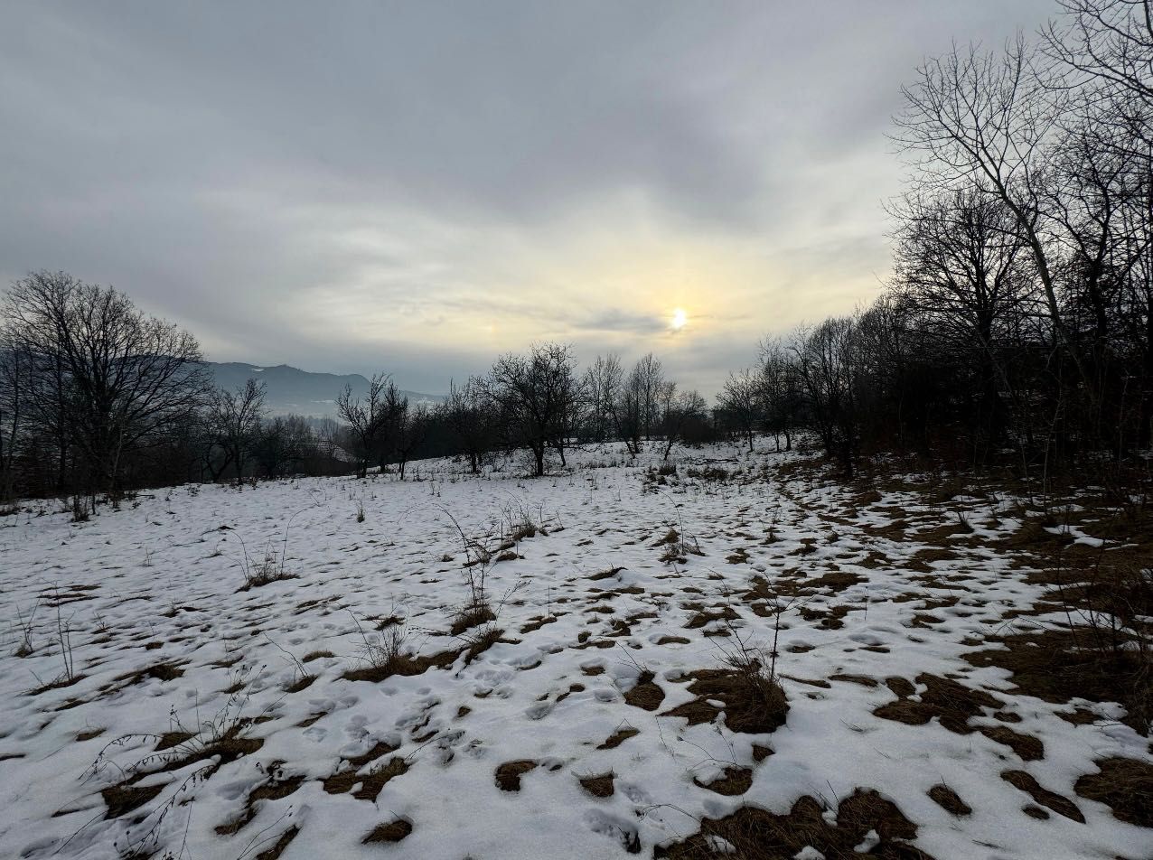 Vând teren intravilan in Ibănești Pădure