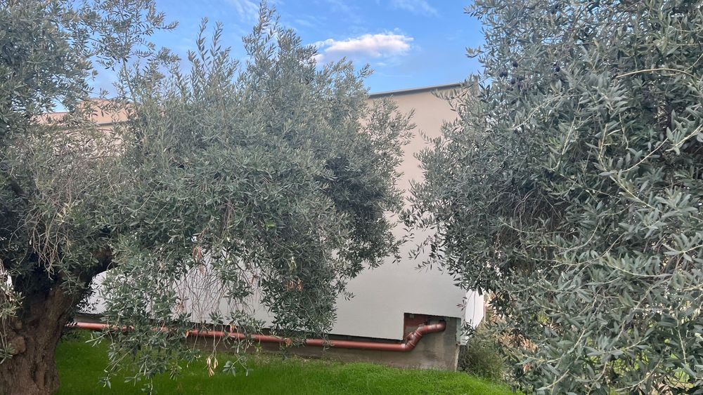 Продава се Къща в София, Стрелбище - 115 кв.м за 1566 €/кв.м - Снимка #3