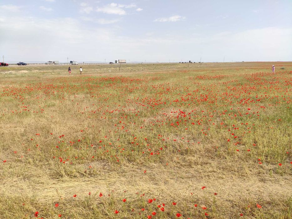 БАО Алмарасан прокат джипа аренда минивэн микроавтобус минивэн с водит