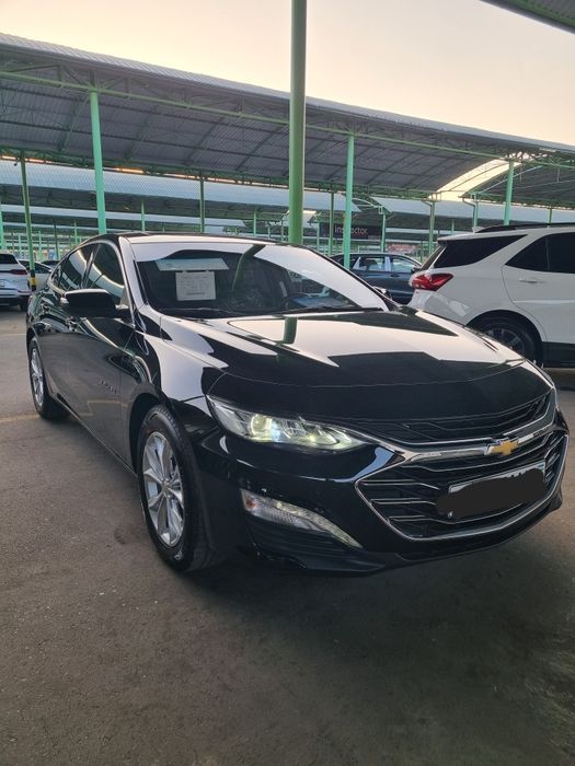 Malibu Primier 2022