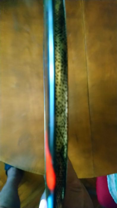 Рисуван метален поднос куче.