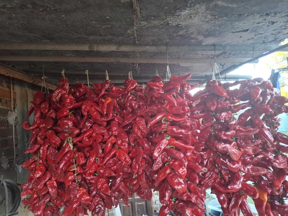 Сушени червени чушки – естествено изсушени