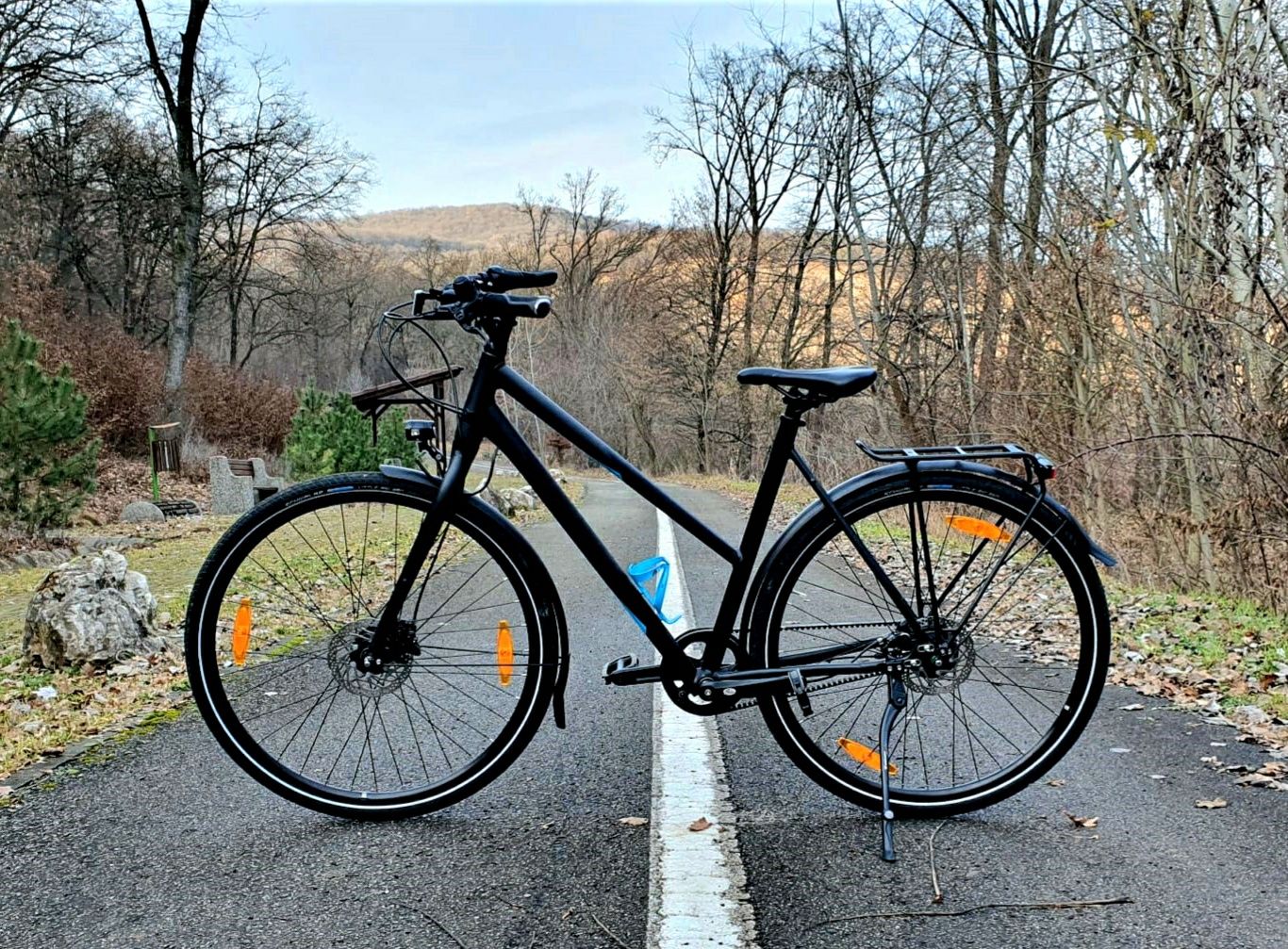 Bicicleta Trek transmisie pe curea carbon.
