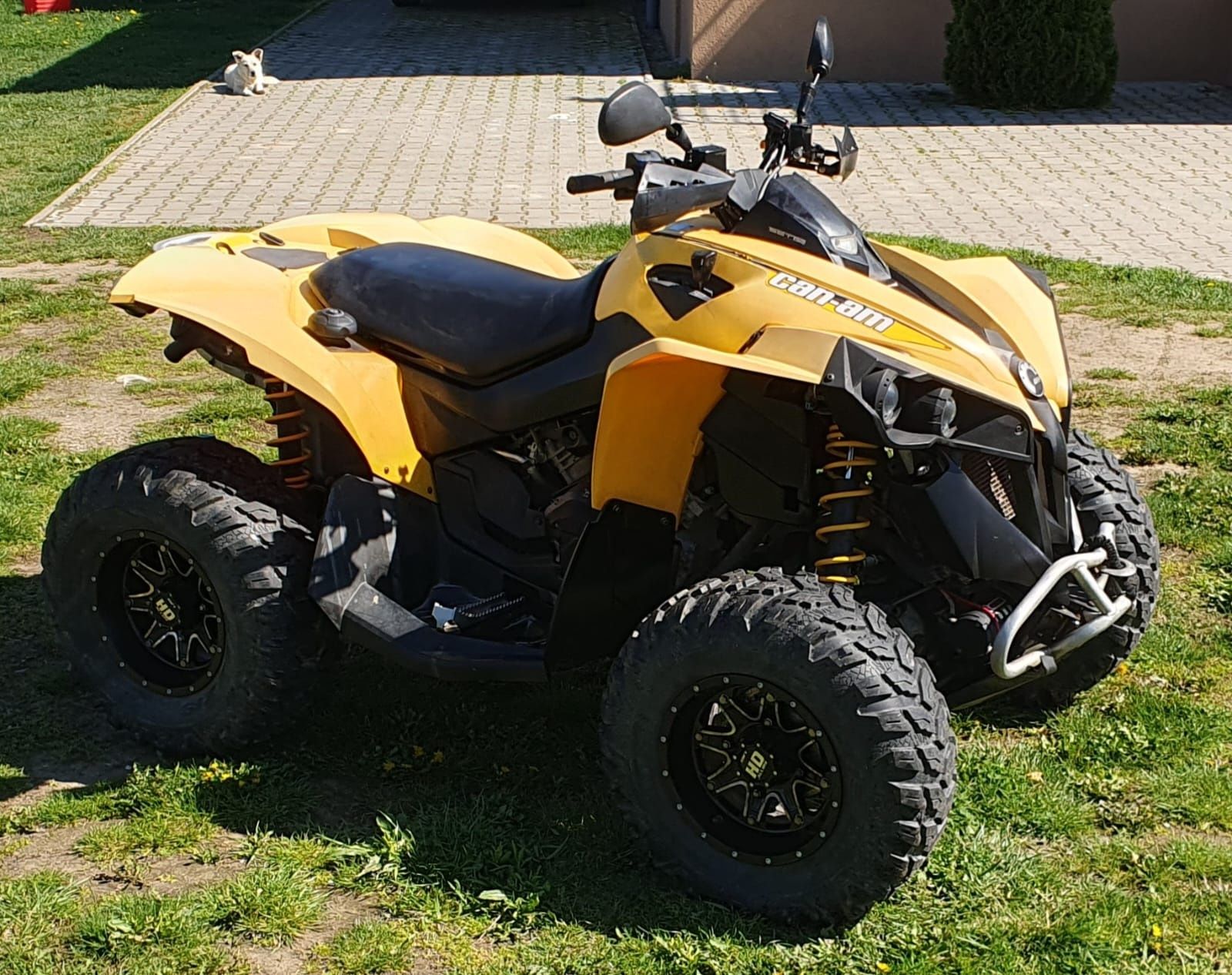 Can Am Renegade  500 G2