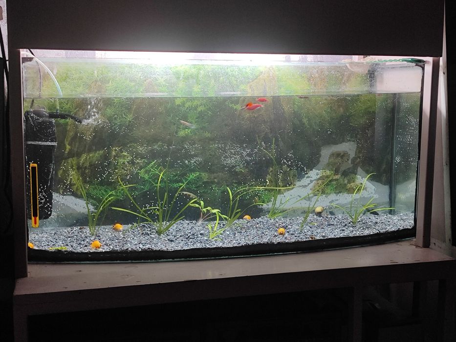 Аквариум 100 литров