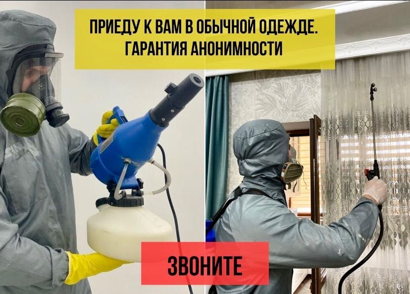 Дезинфекция/ Уничтожение клопов/тараканов/клещей/грызунов Дизенфекция