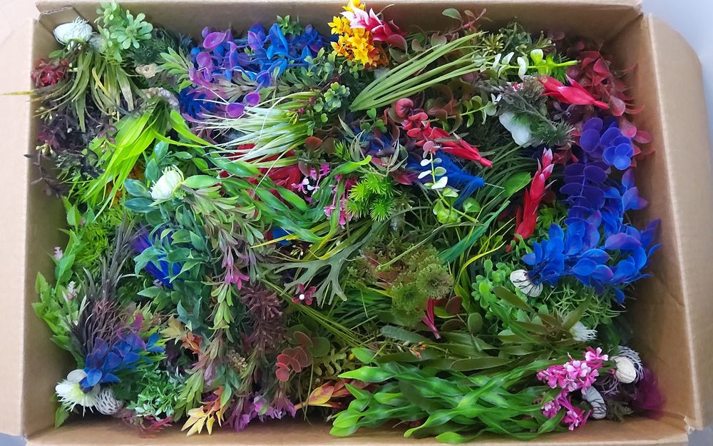 Plante pentru acvariu (200buc)