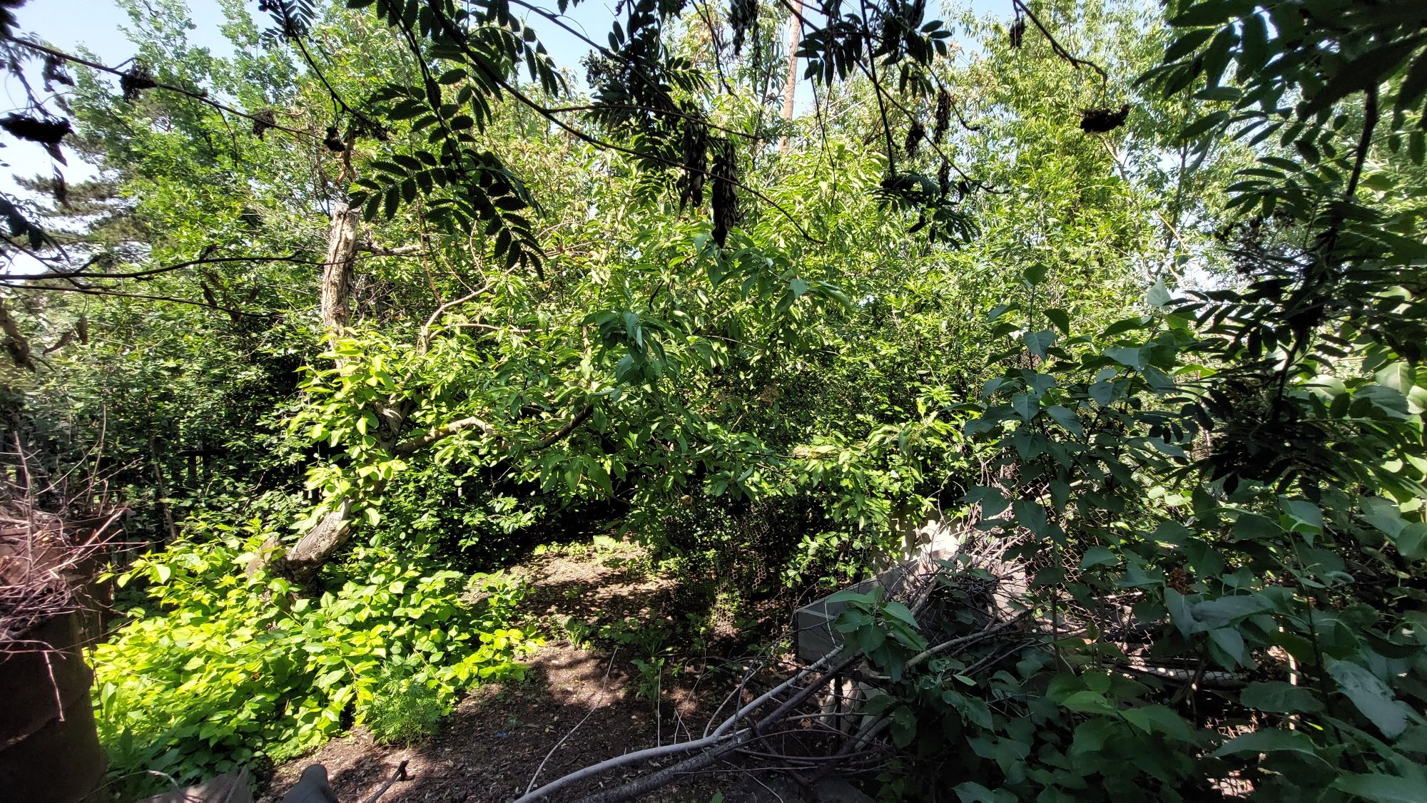 Дом в Пришахтинске