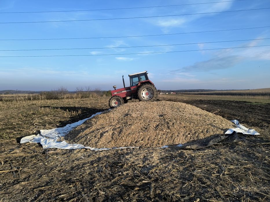 Vând siloz de porumb