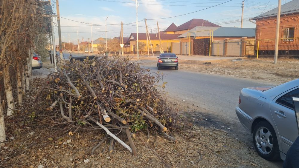 Отын теги, дрова бесплатно