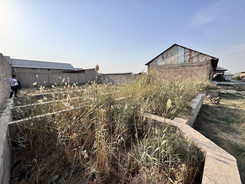 Yerqorg’on bozor Saroy piron