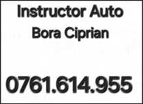 Instructor Auto cat.B
