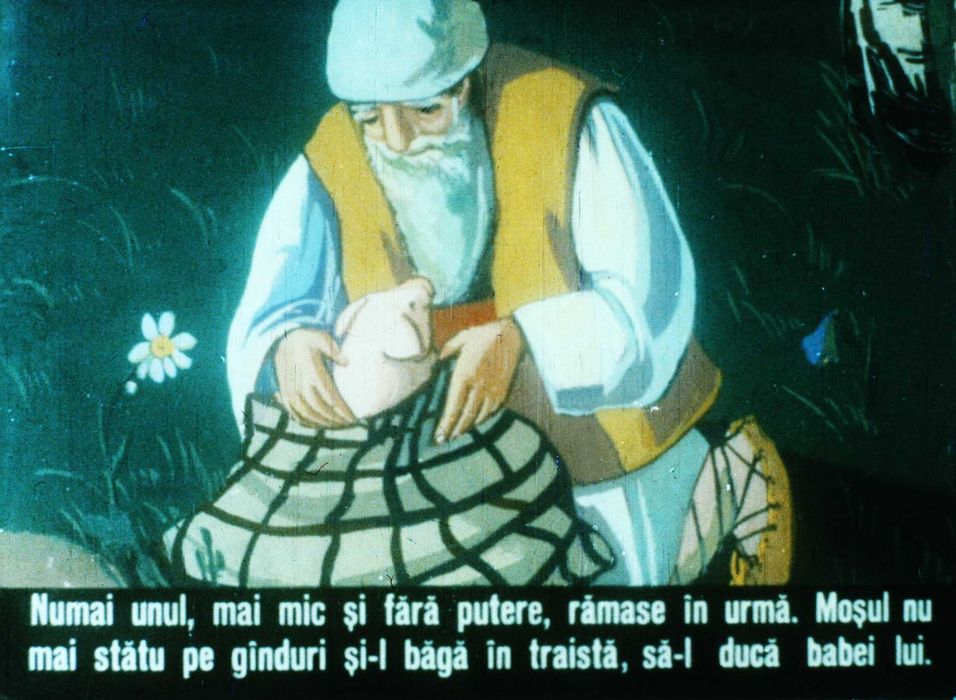 DIAFILME cu povești și educative transpuse digital (340)
