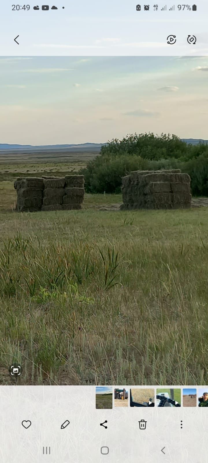 Сено с доставкои