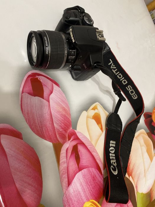 фотоаппарат Кэнон 450Д